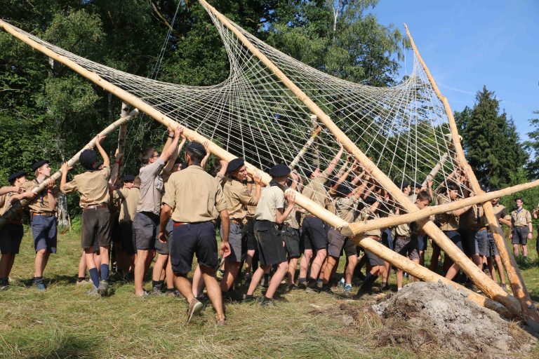 araignée camp été