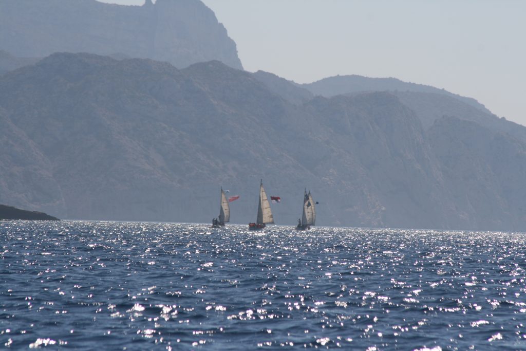 epervier sur les mers