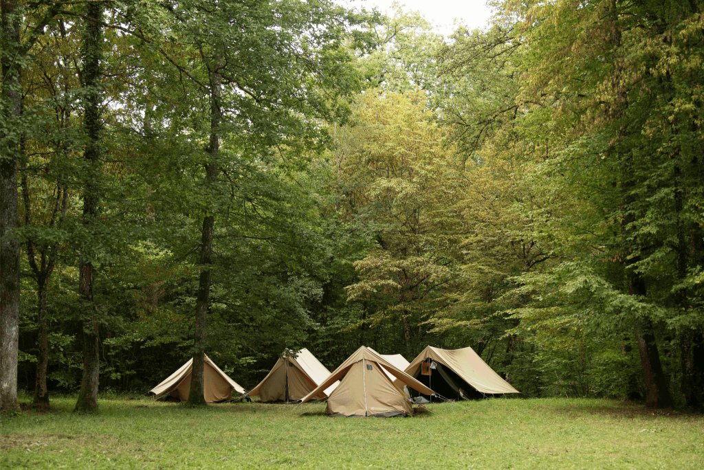 design sans titre 2025 02 19t121111.955