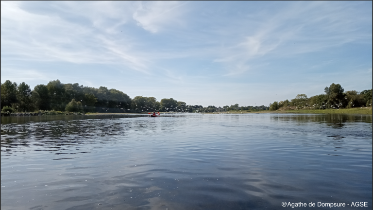 cie nautique oiseaux