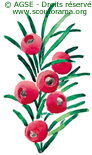 mc no47 copyrightdr if c4456