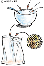 sd e no1187 copyrightdr pomme ambre illustration2 9af72