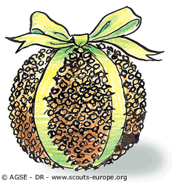 sd e no1187 copyrightdr pomme ambre illustration3 25131