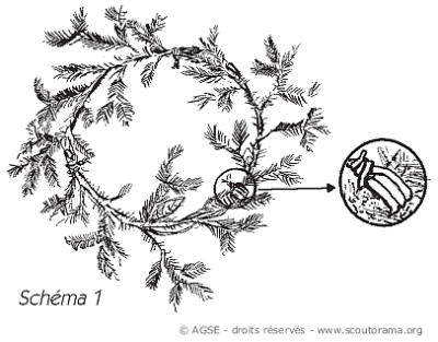 sd e no146 copyrightdr couronneavent schema1 2 01062