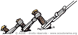 sd e no185 copyrightdr pont de singe 3 e711c
