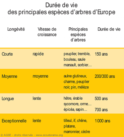 sd e no208 copyrightdr tableau age arbres 5e950