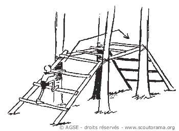 sd e no220 copyrightdr claie b8855