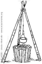 sd e no223 copyrightdr trepied eec29