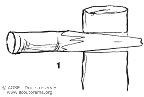 copyrightdr tenon2 91f4e