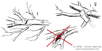 copyrightdr travail hachette2 bf736