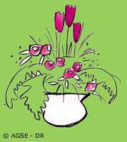 mo 38 bouquet en folie 5 541bc