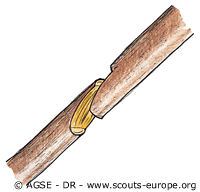 sde 185 pionnierisme enture sifflet 31456