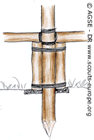 sde 186 dr moisage 3 b3472