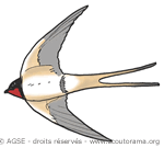 mc no69 pp28 29 copyrightdr hirondelle cheminee 10288