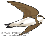 mc no69 pp28 29 copyrightdr hirondelle rivage 6bf7f