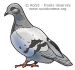 mc no69 pp28 29 copyrightdr pigeon 1a2ed