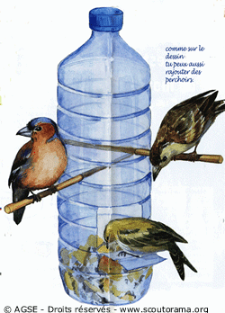 mc no7 p10 11 copyrightdr mangeoire oiseaux1 c8d93