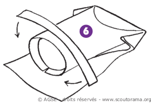 sd e no212 copyrightdr le henin4 ba58a