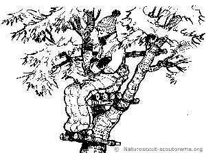 copyrightnaturoscout affut1 5f555