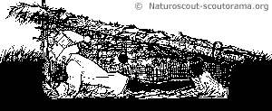 copyrightnaturoscout affut2 63619