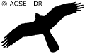 sde 189 ft rapaces en vol busard ca5f3