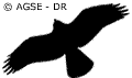 sde 189 ft rapaces en vol buse 78042