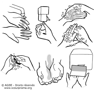 sd e no212 copyrightdr lavage mains c0128