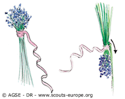sde 186 dr tresses de lavande2 7e971