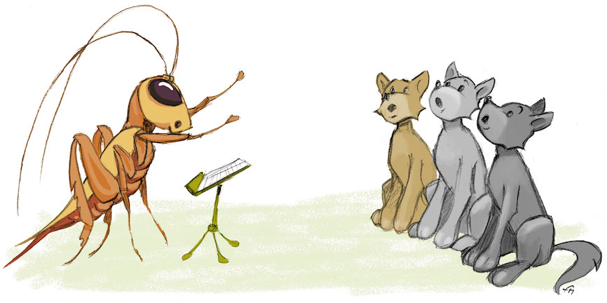 instruction concours chant