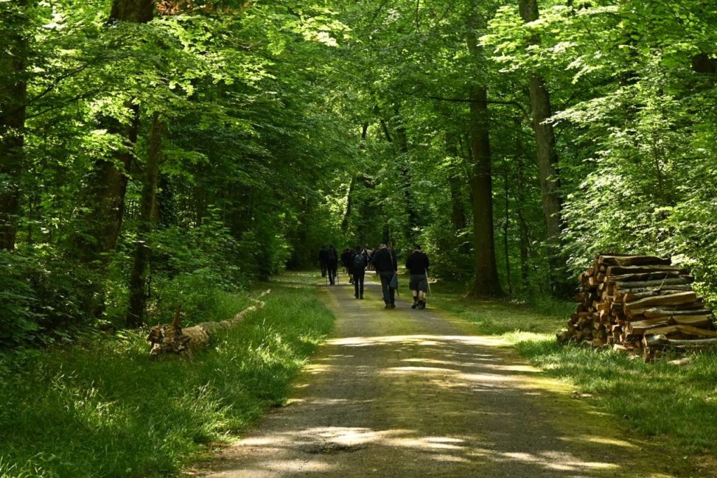 jn26 guides et scouts d'europe aude dupuy (6)